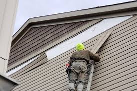 Best Custom Trim and Detailing for Siding  in The Hammocks, FL